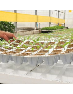 FUNDA PLÁSTICA PARA SEMILLERO 128 CAVIDADES 200 CAVIDADES - 5 2