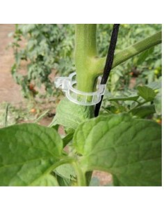 ANILLO PARA TUTOREO 23 MM 25 MM - 4 2