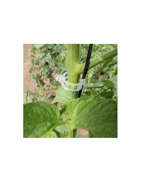 ANILLO PARA TUTOREO 23 MM 25 MM - 2