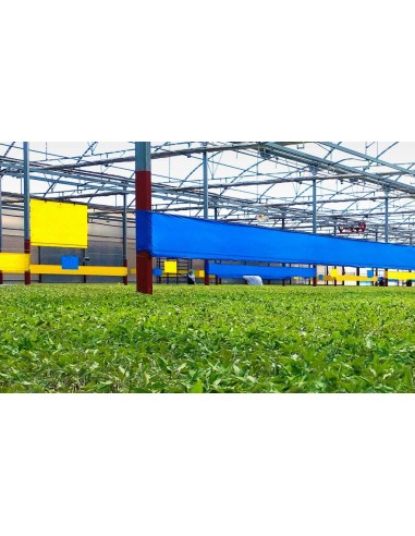 ROLLO DE PLÁSTICO TRAMPA PARA INSECTOS 50 MM X 100 METROS 100 MM X 100 METROS 150 MM X 100 METROS 300 MM X 100 METRO - 3