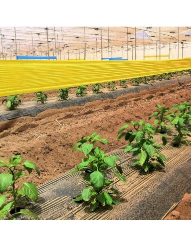 ROLLO DE PLÁSTICO TRAMPA PARA INSECTOS 50 MM X 100 METROS 100 MM X 100 METROS 150 MM X 100 METROS 300 MM X 100 METRO - 4