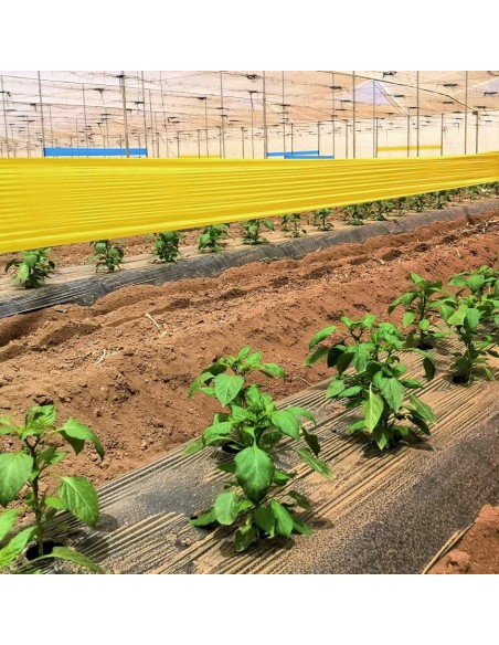 ROLLO DE PLÁSTICO TRAMPA PARA INSECTOS 50 MM X 100 METROS 100 MM X 100 METROS 150 MM X 100 METROS 300 MM X 100 METRO - 4