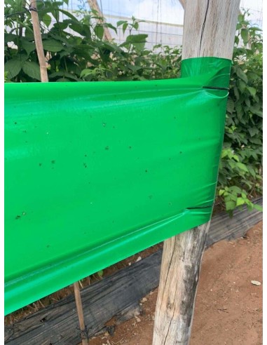 ROLLO DE PLÁSTICO TRAMPA PARA INSECTOS 50 MM X 100 METROS 100 MM X 100 METROS 150 MM X 100 METROS 300 MM X 100 METRO - 5