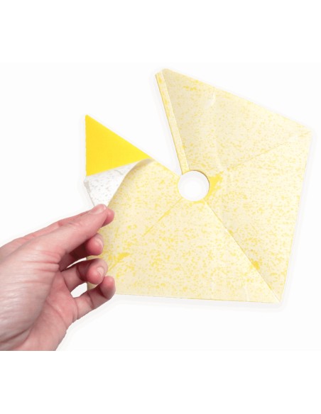 TRAMPA PIRAMIDAL PARA INSECTOS DE ARBOLADO Y MACETA - 2