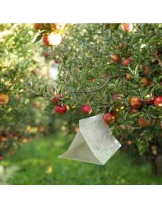 TRAMPA TRIANGULAR COLGABLE PARA INSECTOS 300 MM - 2 2