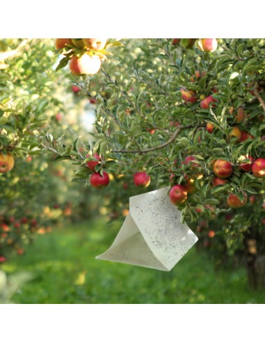 TRAMPA TRIANGULAR COLGABLE PARA INSECTOS 300 MM - 3