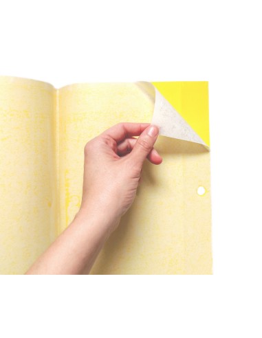 TRAMPA TRIANGULAR COLGABLE PARA INSECTOS 300 MM - 4