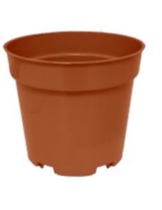 MACETA REDONDA 10 5 CM - 2