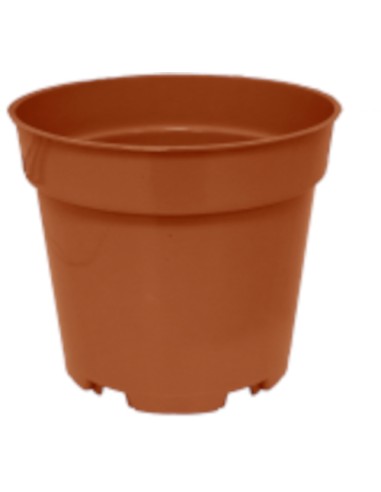 MACETA REDONDA 10 5 CM - 2