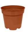 MACETA REDONDA 10 5 CM - 2