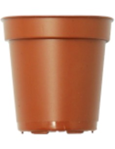 MACETA REDONDA PARA CACTUS 5 5 CM - 2