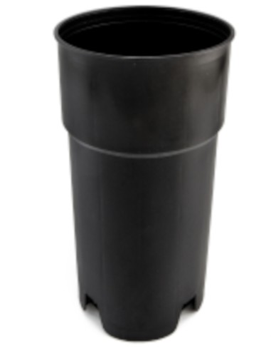 MACETA PARA AGUACATE CORTA - 5 LITROS 17 X 31 5 CM - 2